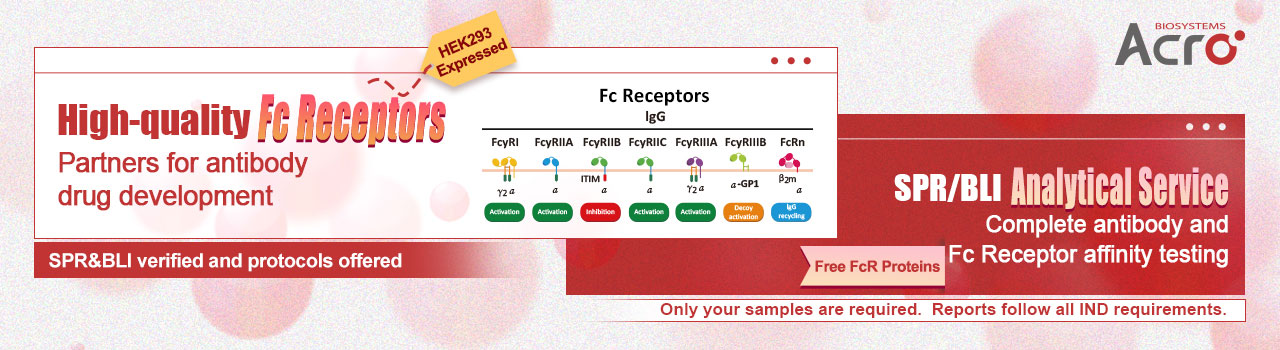 Fc Receptor Proteins