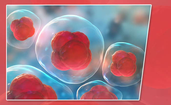 幹細胞治療用の成長因子