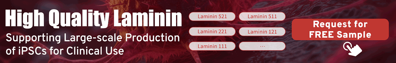 Free-sample-application-of-Laminin-proteins