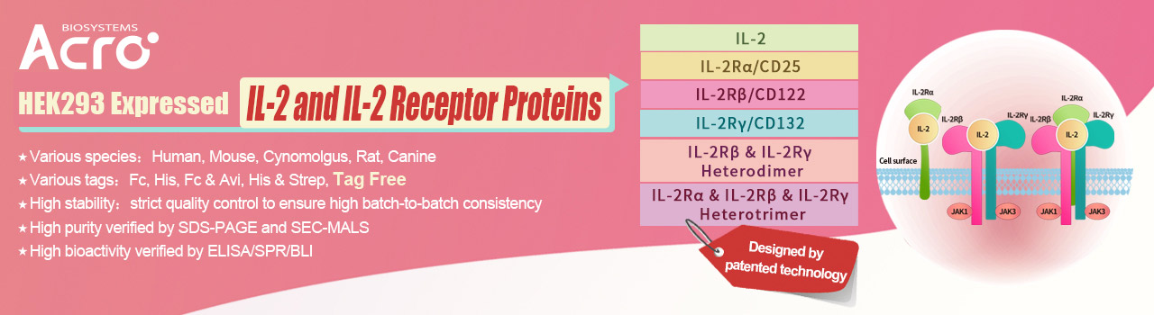 IL-2 Receptors