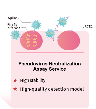 Pseudovirus Neutralization Assay Service