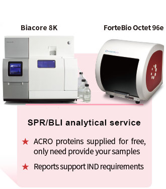 SPR /BLI analytical service