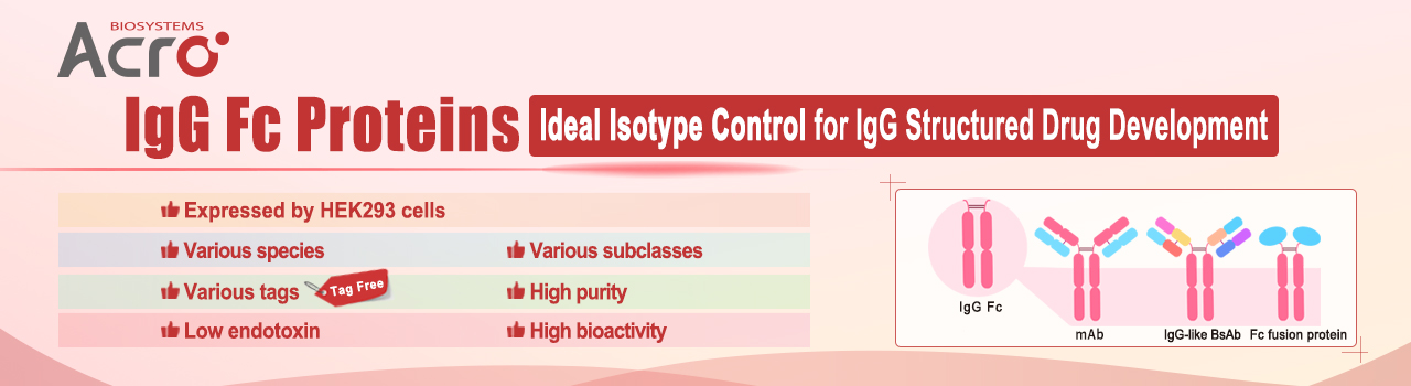 IgG Fc Proteins——Ideal Isotype Control for IgG Structured Drug Development