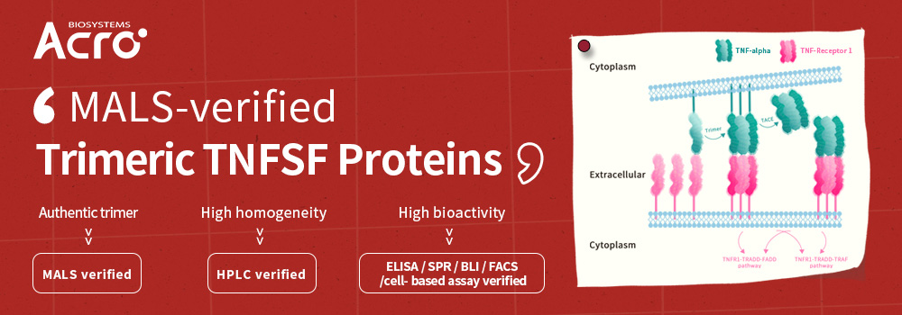 TNFSF proteins: MALS verified authentic trimer