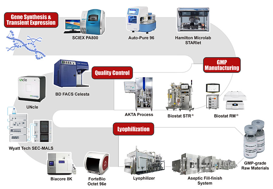 Industry-leading Custom GMP Service Development and Manufacturing Platform