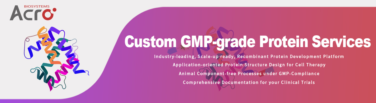 Custom GMP-grade Protein Services