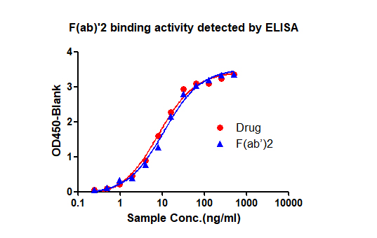 The activity of F(ab ')2 was almost no different from that of full-length antibody