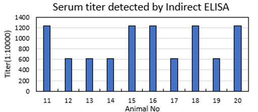 After immunizing Balb/c mice with F(ab ')2 for four times, the final titer reached  1：72,9000
