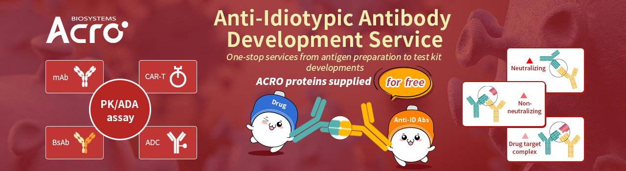 Anti-Idiotypic Antibody Development Service