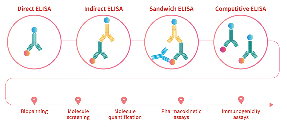Enzyme Linked Immunosorbent Assay Elisa Service Acrobiosystems