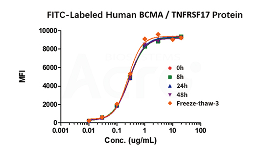 FITC-BCMA stability verified by FACS