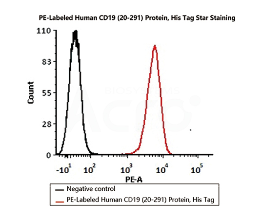 PE-CD19 binding activity verified by FACS