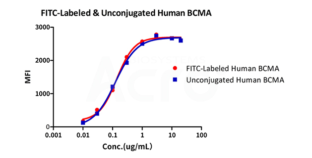 BCMA bioactivity verified by FACS
