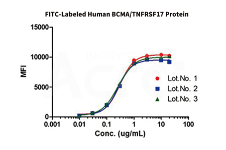 FITC-BCMA batch-to-batch consistency verified by FACS