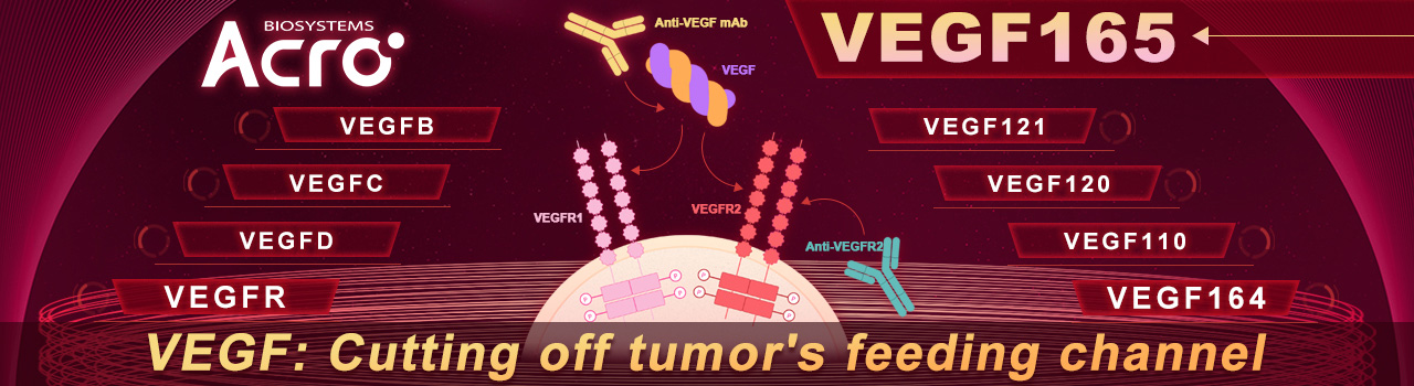 VEGF: Unterbrechen des Versorgungskanals des Tumors